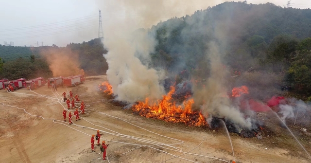 出动无人机,深圳宝安区2017处置森林火灾演练