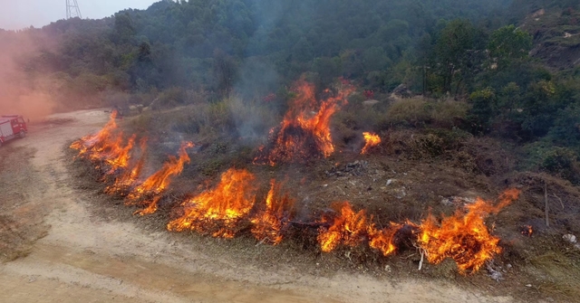 出动无人机,深圳宝安区2017处置森林火灾演练