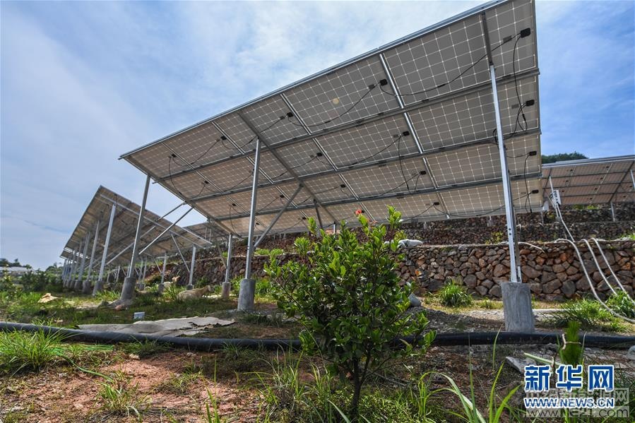 浙江侨乡青田30兆瓦农光互补光伏发电项目正