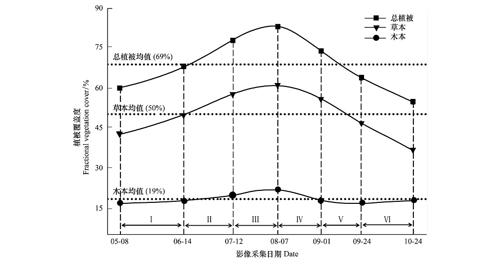 点击放大