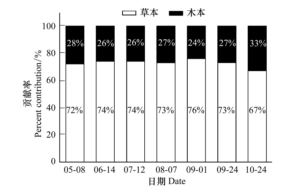 点击放大