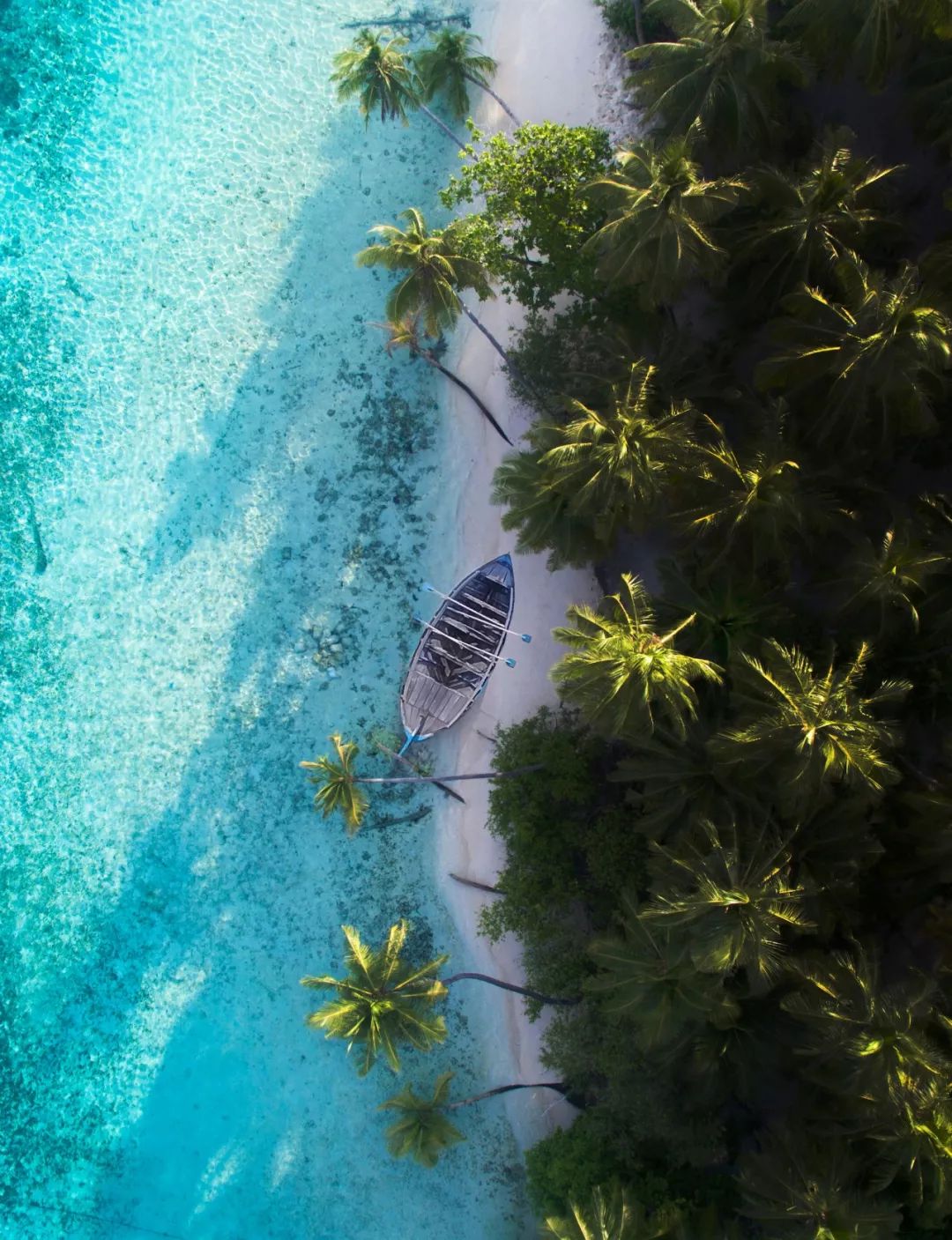 今天的推送都是套路!