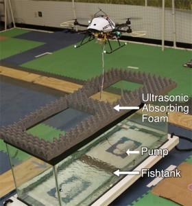 合作空中生态学家：机器人水采样和野外感知