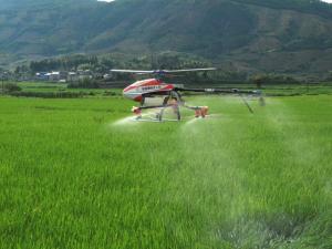 “无人机给玉米喷药，让人开眼！”