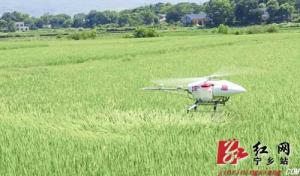 宁乡：农用无人机飞防作业“崭露头角”