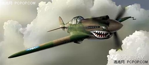 从鸟类到无人机 