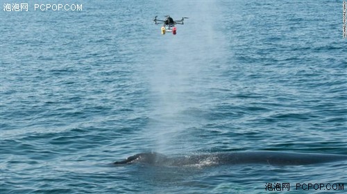 无人机如何大展拳脚  