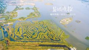 地球，我在空中看着你