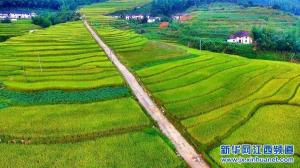 “带你航拍，带你飞”——空中看崇义之上堡梯田篇