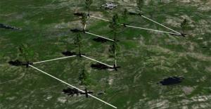 无人机造福人类 可撒播种子以加快森林的恢复