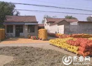 航拍济阳“斜庄”：屋子存45度夹角 抗战时曾毫发无损