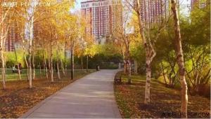 无人机航拍雨阳公园——哈尔滨的秋天