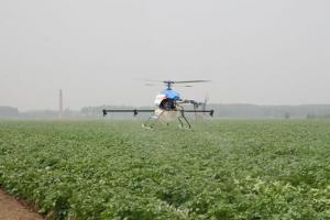 无人机种田速度快 飞一小时顶40个以上人工
