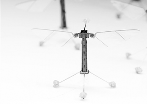 这个长得像蜜蜂一样的飞行器，能上天也能下海