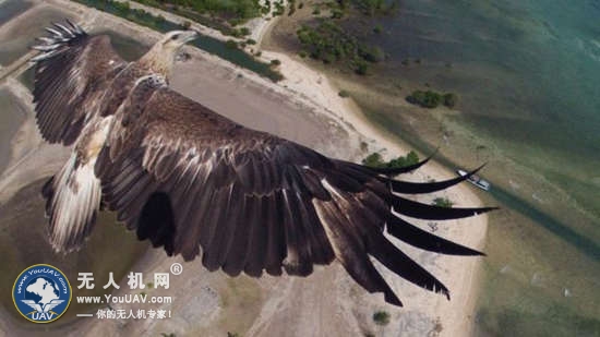 专访首届无人机摄影大赛创办者