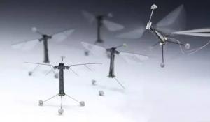 你知道吗，无人机这些技术都来自于昆虫！