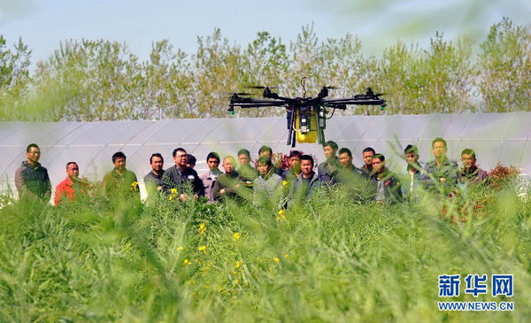 湖北潜江：田头培训农民操作植保无人机