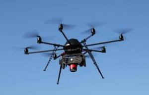 德中天地 蜘蛛雀DW01