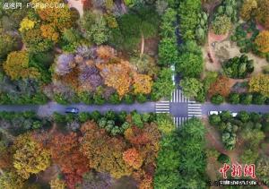 航拍青岛八大关初冬五彩美景 若童话世界