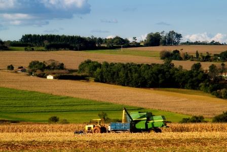 Oculus Forestry & Agriculture