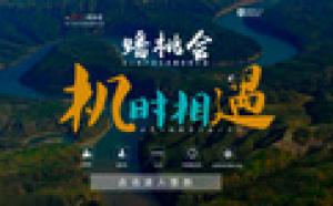 大闹天空网创办蟠桃会：启动无人机产业生态链扶持计划