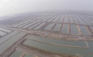 辽宁海洋生态修复出动无人机