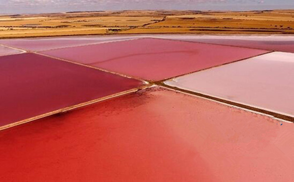 无人机让我们重新认识世界