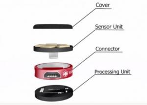 给无人机配上蝙蝠般的超音波3D传感系统