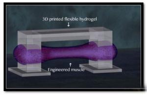 2015年机器人行业十大前沿技术盘点