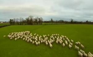 无人机的“角色”没有最奇葩只有更奇葩