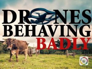 无人机厂商抢滩中国市场