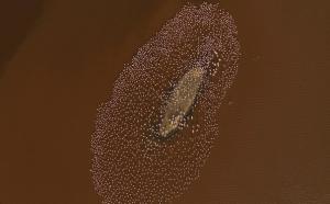 带着无人机做一个“旁观者”