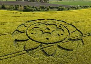 无人机或可解麦田怪圈