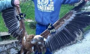 世界上最强的无人机制造国，不是美国，也不是中国