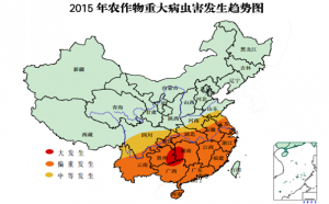 植保无人机发展空间广阔 还需政策推动扶持