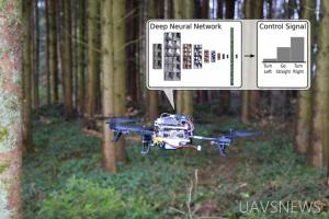 无人机与人工智能结合寻找失踪人员