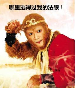 广东启用无人机抓交通违章 车牌号清晰可见