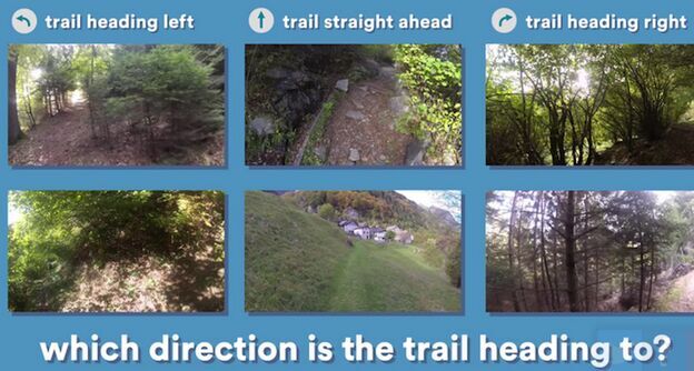 无人机在丛林小径自主飞行搜救