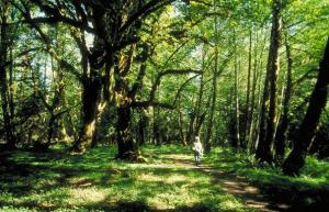 瑞士科学家研发搜救无人机