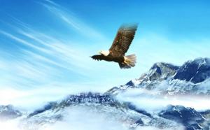 2016无人机将逆风飞翔