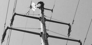 一天5只风筝缠上高压线 有的动用无人机才能取下