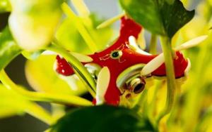 纠结的无人机：不能不管但又太难管