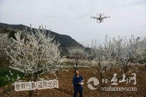 李花节暨重庆首届无人机航拍大赛成功举行