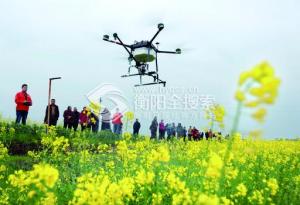 无人机“巡诊”助油菜增产