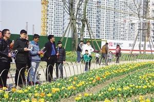 吴江:每个无人机爱好者都有一个飞行梦 换个视角看世界