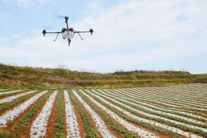 温州农办科技下乡 春耕植保无人机抢眼