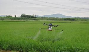 农民用无人机撒药成效好：省力又省钱