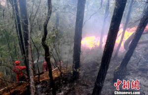 四川九龙森林火灾已全部扑灭 无人机助力灭火