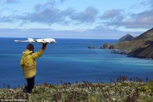 场面壮观！无人机航拍海鸟罕见栖息迁徙形态