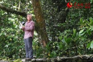 天津大学学者用无人机首次拍摄到莫瑞亚岛悬棺、崖葬遗迹